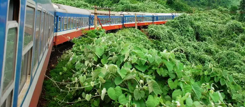 Voyage en train au Vietnam