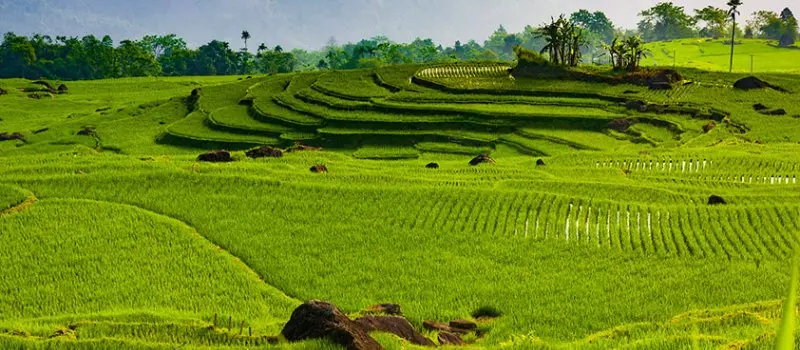 R&eacute;serve naturelle de P&ugrave; Lu&ocirc;ng