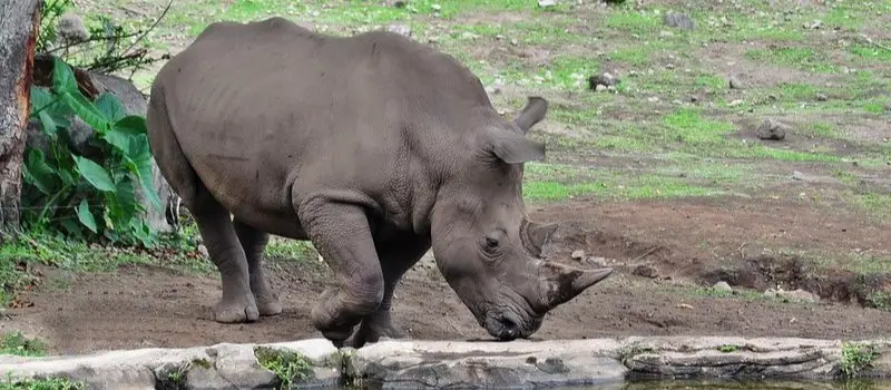 Parc national de Cat Tien