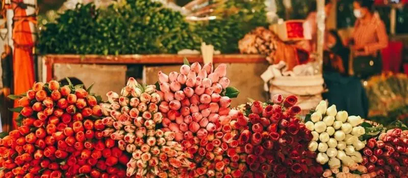 Quels sont les march&eacute;s populaires &agrave; Hanoi pour des vacances au Vietnam?