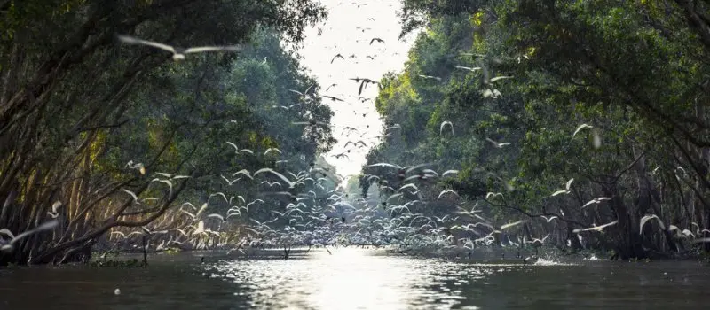 Parc national de Tr&agrave;m Chim