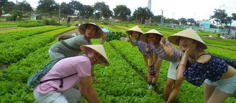 Village de l&eacute;gumes de Tra Que