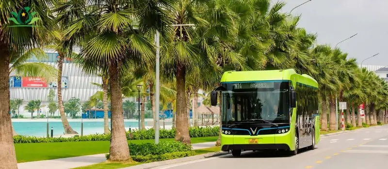 Comparaison avec les transports en commun