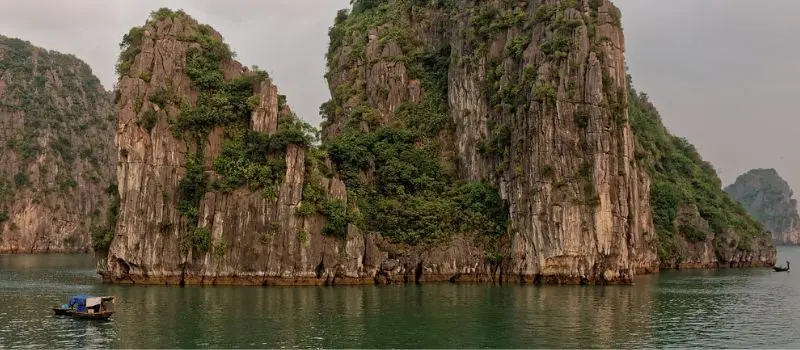 Croisiere en baie Halong pour d&eacute;couvrir une riche biodiversit&eacute; marine