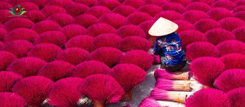 Voyage culturel au Vietnam