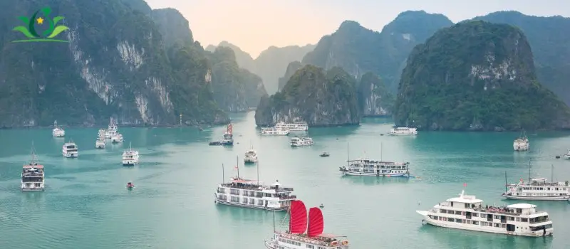 Focus sur le tourisme durable