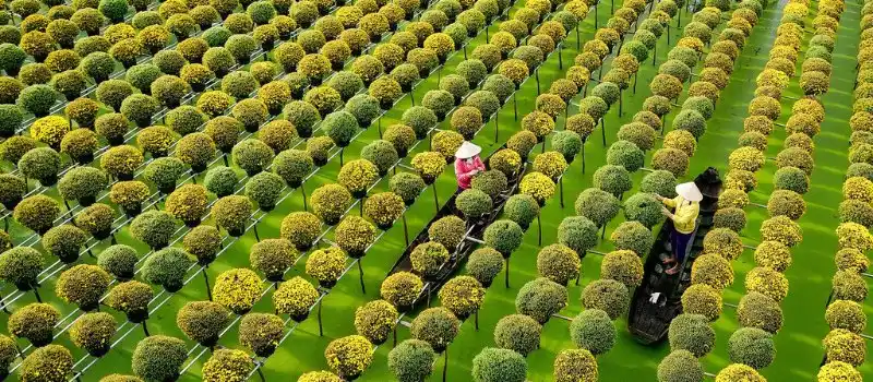 Village fleuri de Sa Dec (Delta du Mékong)