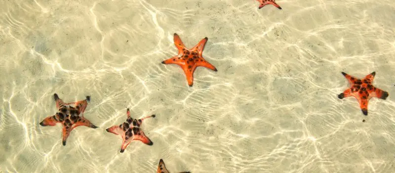 Plage de Bai Sao à Phu Quoc