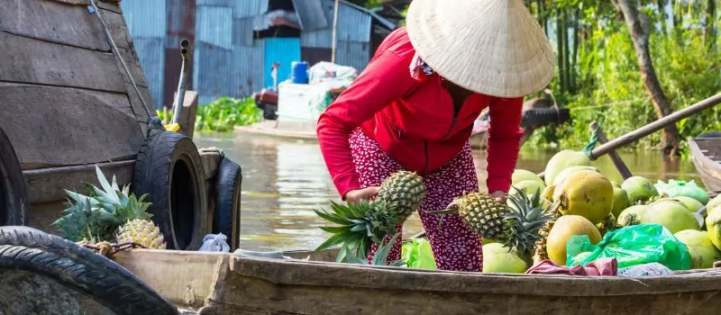 Delta du M&eacute;kong