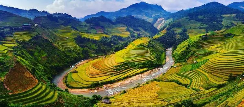 Voyager avec un Guide francophone au Vietnam pour visiter Mu Cang Chai