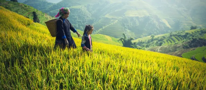 Voyage &agrave; Sapa