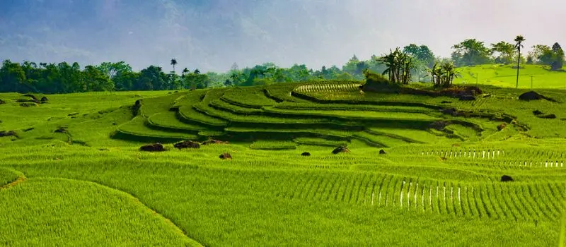 Voyager avec un Guide francophone au Vietnam pour visiter Pu Luong