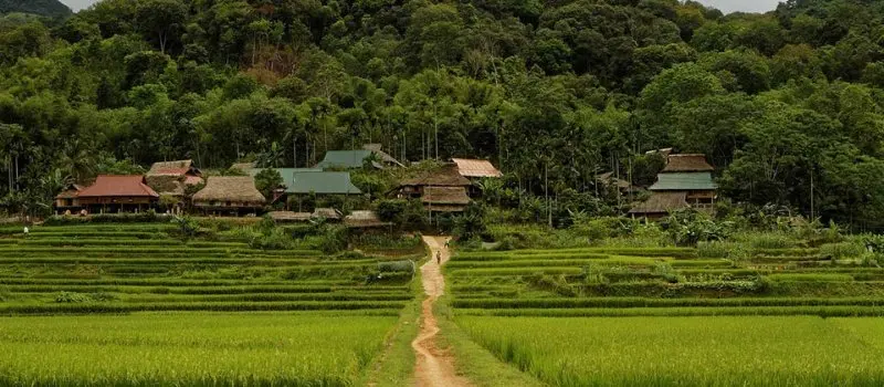 Montagnes, jungle et cascades