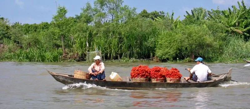 Croisiere au delta du Mekong pour explorer les villages en sampan