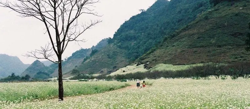 Que voir au Vietnam? - Visite Ha Giang