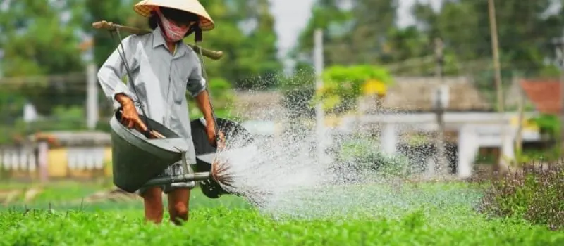 Voyage de luxe au Vietnam pour visiter des jardins et fermes biologiques