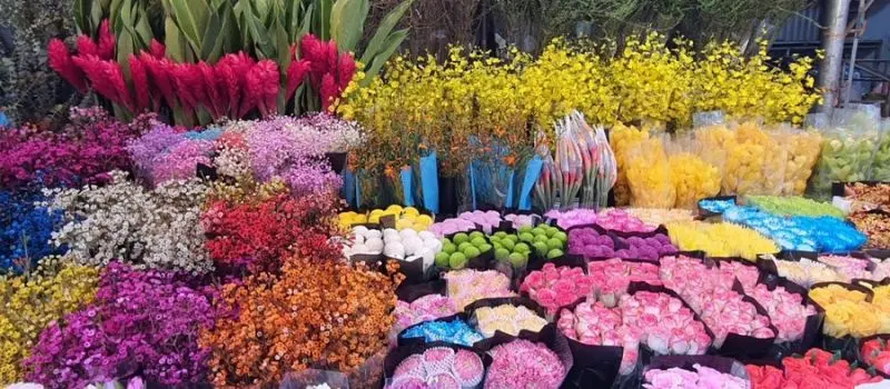 Voyage en famille au Vietnam avec enfant pour visiter des march&eacute;s locaux