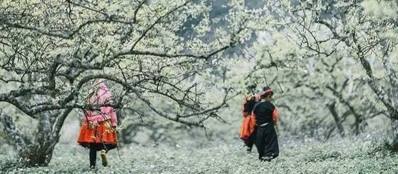 M&eacute;t&eacute;o &agrave; Mai Chau en janvier