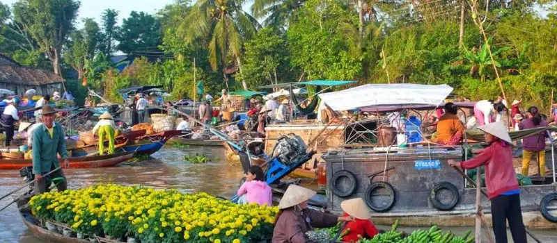 Croisiere au delta du Mekong pour visiter des vergers et jardins fruitiers