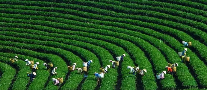 Que voir au Vietnam - Son La