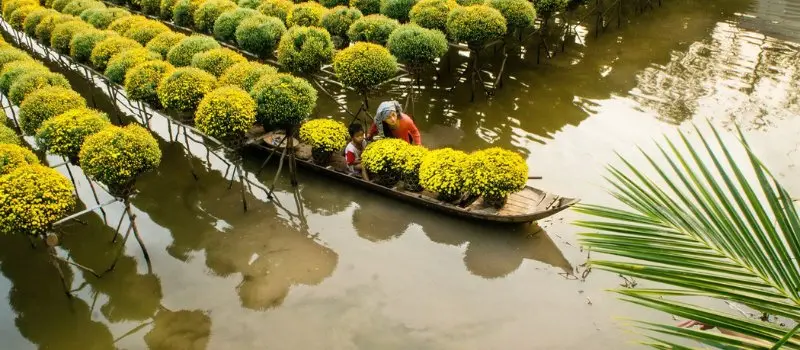 Que voir au Vietnam - Sa Dec