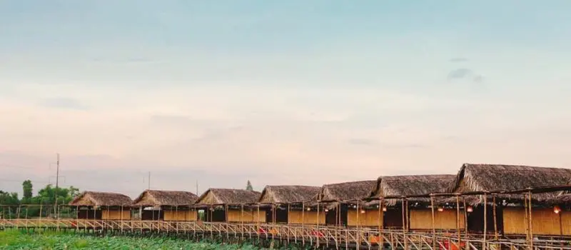 Que voir au Vietnam - Cao Lanh