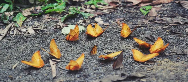 Exploration du parc national Cuc Phuong - Meilleures choses &agrave; faire au Vietnam