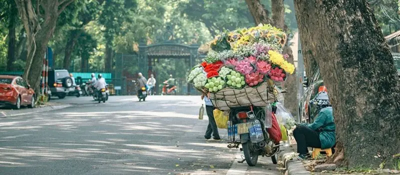 Partez en voyage au Vietnam pour d&eacute;couvrir le charme de l'automne de Hanoi
