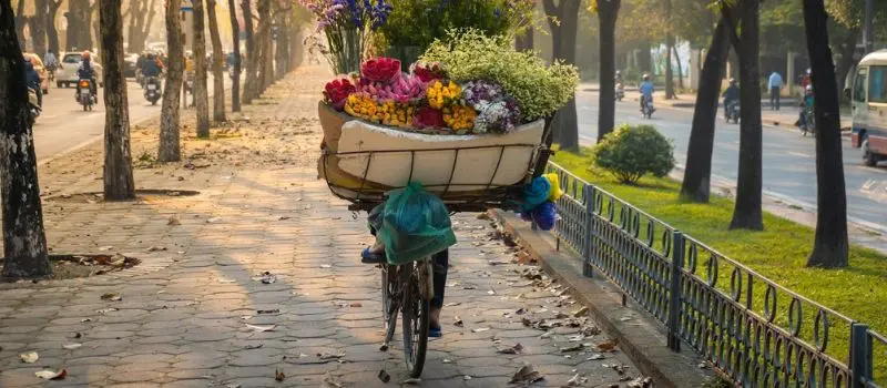Partez en voyage au Vietnam pour d&eacute;couvrir le charme de l'automne de Hanoi
