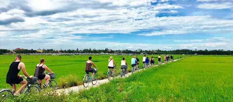 Faire du v&eacute;lo &agrave; travers les rizi&egrave;res