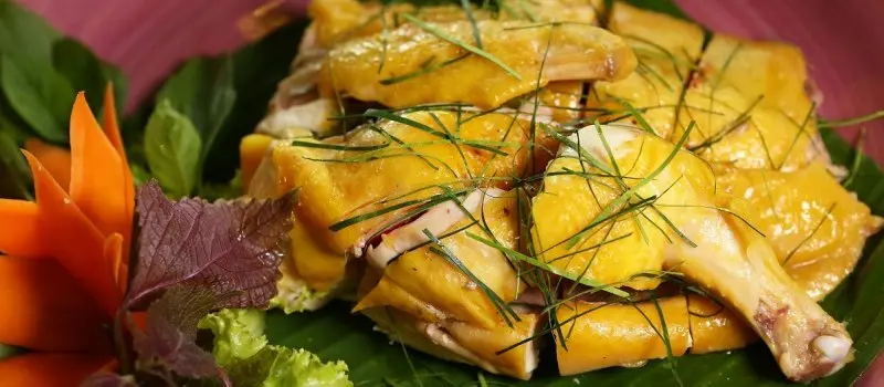 Poulet des collines de Tien Yen