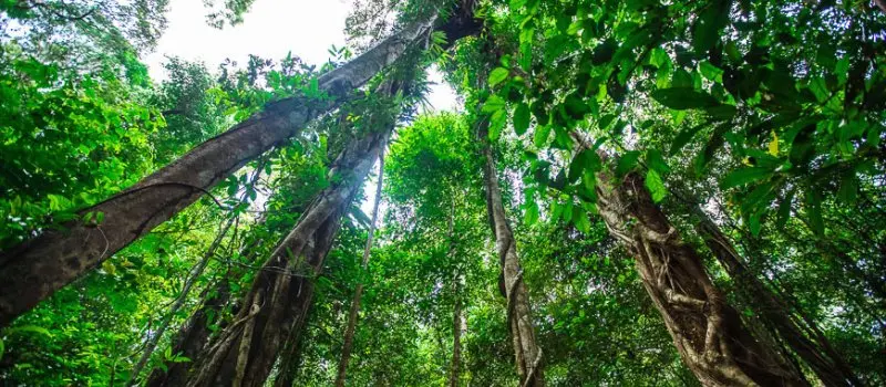 Trekking au parc national Phu Quoc