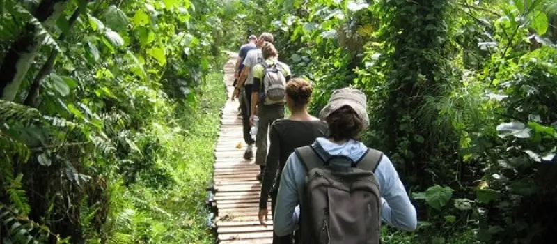 Trekking au parc national Phu Quoc