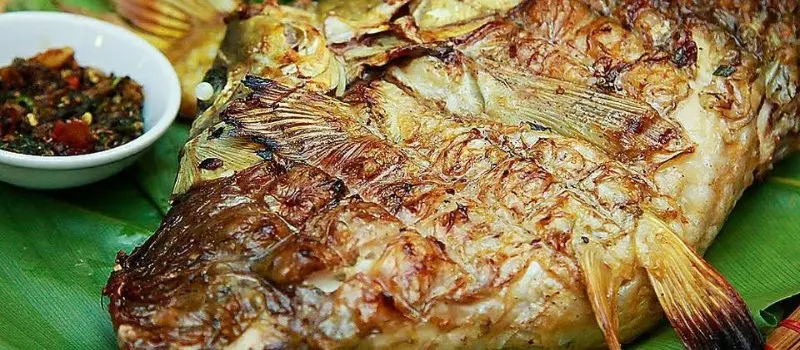 Poisson de rivi&egrave;re