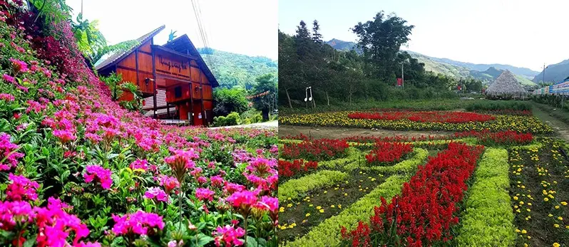 Voyage au Vietnam pour Festival de couleurs dans la vall&eacute;e des fleurs Bac Ha