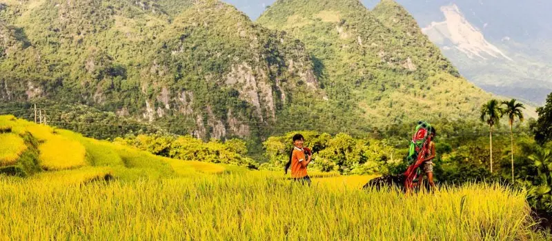 R&eacute;serve naturelle de Pu Luong, Vietnam