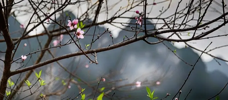 Baie d&rsquo;Halong en f&eacute;vrier