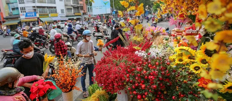 Visite Saigon en janvier, voyage sur mesure au Vietnam