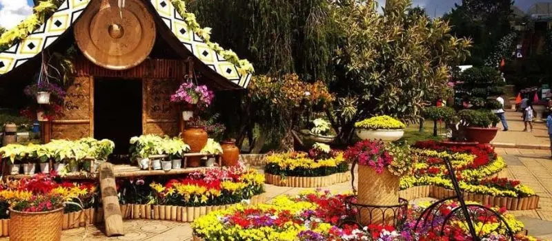 Festival des fleurs de Da Lat