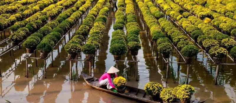 Saison des pluies dans le delta du M&eacute;kong