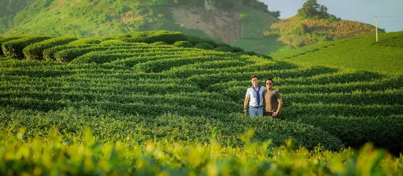 Voyage &agrave; Moc Chau en septembre