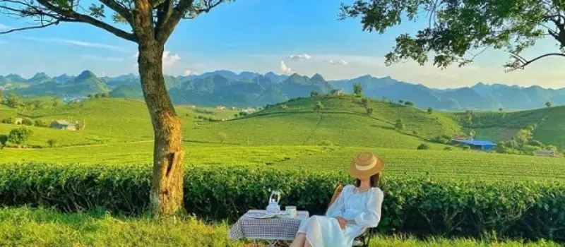 Meilleur moment pour visiter Moc Chau