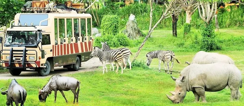 Zoo Safari Quy Nhon