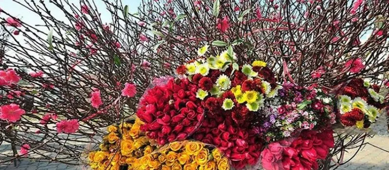 Festival des fleurs pr&egrave;s du lac de Hoan Kiem, Hanoi