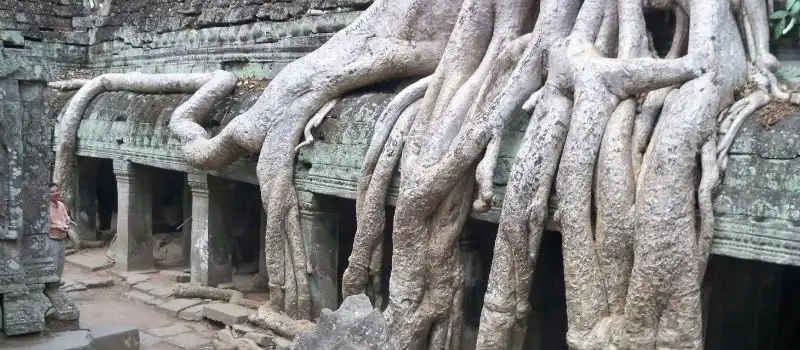 Circuit D&eacute;couverte Ta Prohm avec notre agence de voyage au Cambodge