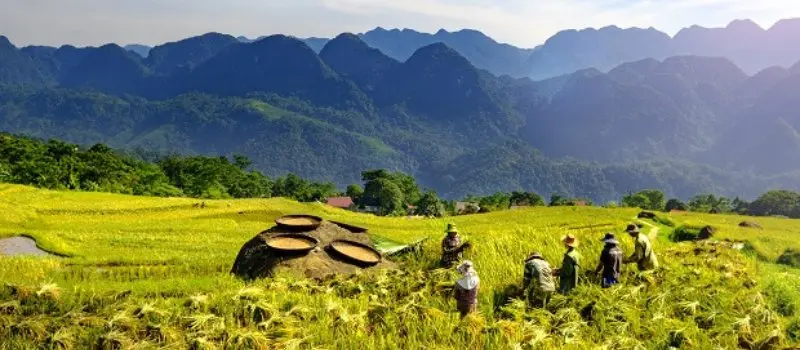 Trekking &agrave; Pu Luong