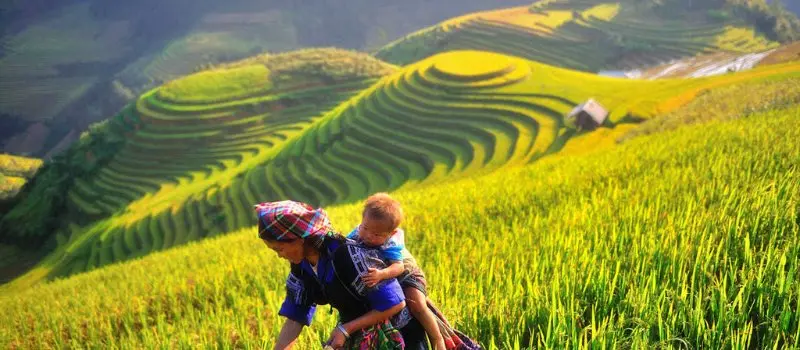 Mu Cang Chai, Vietnam