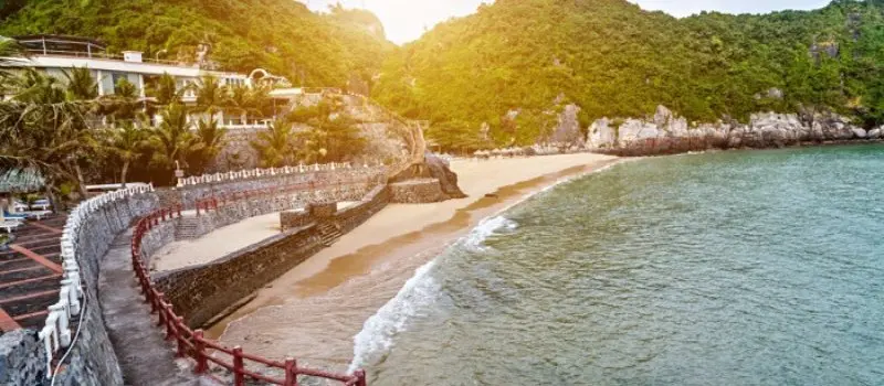 D&eacute;tente &agrave; la plage de Cat Co