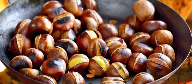 Ch&acirc;taignes de Trung Khanh