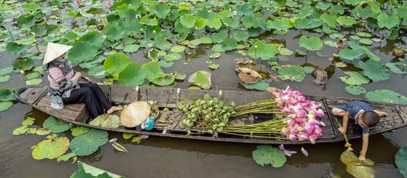 D&eacute;couverte de Dong Thap, agence de voyage au Vietnam